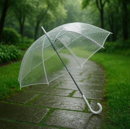 Transparent Windproof Umbrella